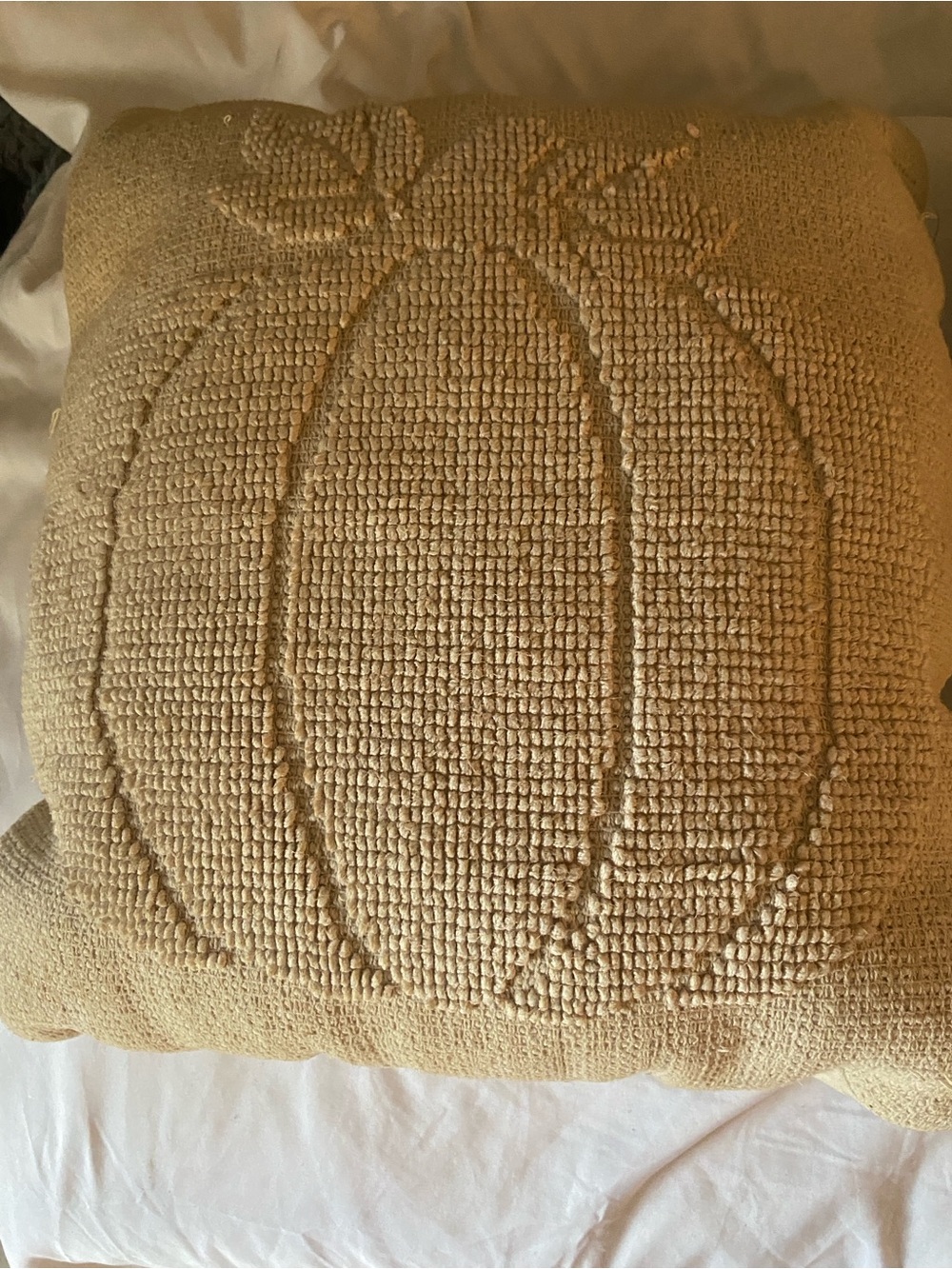 Set of Two Target Threshold Neutral Loop Textured Pumpkin Fall Throw Pillows